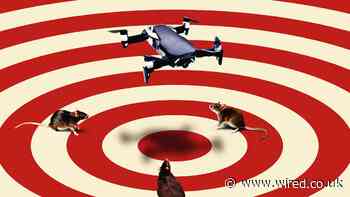 Rats took over this Pacific island. Now drones are leading the fightback