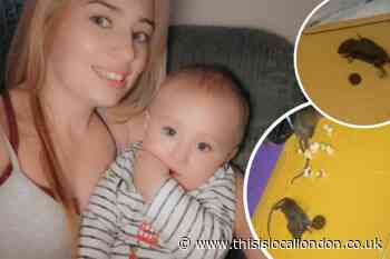 Sutton mum speaks out after baby ‘eats droppings’ found in cot