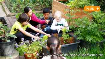 An der Grundschule in der Stadtmitte gibt es jetzt eine kleine Landwirtschaft