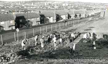 Unusual view over Blackburn as planting took place