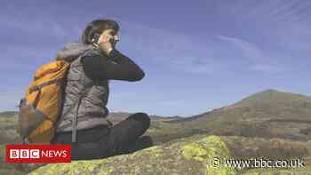 EE aims for 5G coverage everywhere in UK by 2028