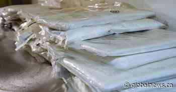 22 charged in drug bust involving 2 Toronto-area groups allegedly importing cocaine into Canada - Globalnews.ca
