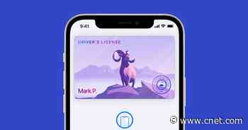 iOS 15 beta bugs: Watch out for these problems after updating your iPhone     - CNET