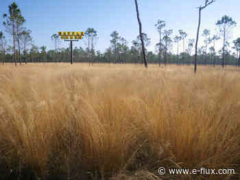 Architecture Without Measure: Notes on Legibility - Architecture - E-Flux - E-Flux