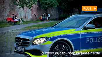 Weniger Lärm und Müll in der Au und der Donauwiese: So soll es in Ulm klappen - Augsburger Allgemeine