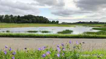 Starkregen in Ulm: Landwirte klagen: „Wir saufen ab da draußen“ - SWP