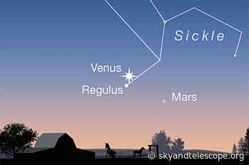 This Week's Sky at a Glance, July 16 – 24