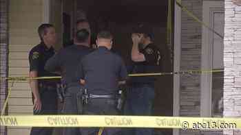 Houston crime: Man shot to death at HomeTowne Studios on Guhn Road near US-290 - KTRK-TV