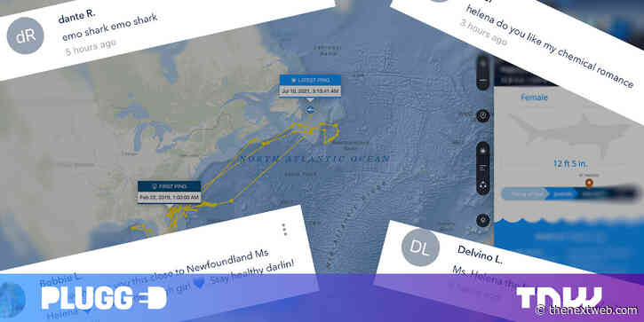 The internet’s best comment section is on a shark tracker app