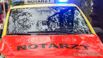 Notdienst Uckermark: Arzt, Zahnarzt, Tierarzt, Apotheke in der Übersicht – Wer hat heute Bereitschaft zwischen Schwedt und Angermünde? - moz.de