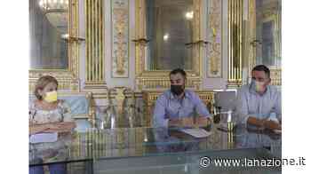 Erba alta sugli spalti, sono i corridoi ecologici - LA NAZIONE