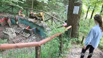 Sentiero degli gnomi, erba e legno per risvegliare i sensi - il Resto del Carlino