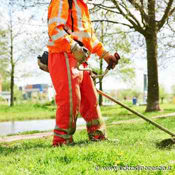 Taglio dell'erba. Il calendario delle strade - Il Cittadino Pescia