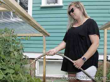 Growing Things Outdoors: Hydrating in the heatwave