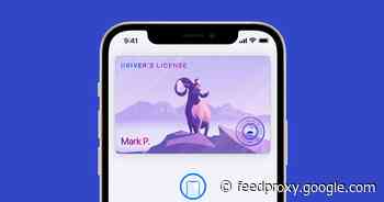 iOS 15 beta bugs: Watch out for these problems after updating your iPhone     - CNET