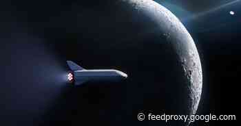SpaceX moon mission billionaire reveals who might get a ticket to ride Starship     - CNET