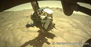 NASA Perseverance rover investigates 'garden pavers' in Mars lakebed     - CNET