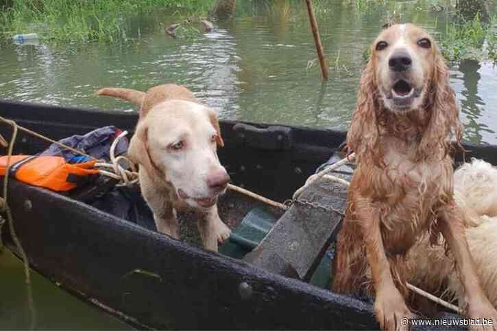 Vriendinnen slaan handen in elkaar voor inzamelactie overstroomde dieren