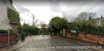 Body of man found in woods in town centre park