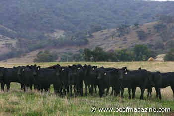 2021-- Banner year for U.S. beef exports