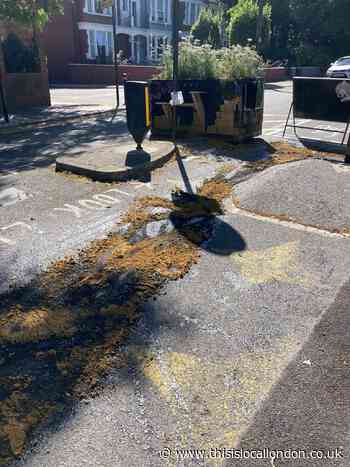 Horror after black oil is poured over planters in Lambeth LTN