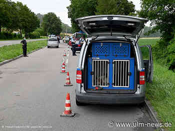 Ein Dutzend Fahrer unter Drogen unterwegs