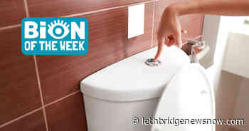 South Korean University Monetizes The Power Of Poop - Lethbridge News Now