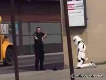 Lethbridge police cleared of wrongdoing in Stormtrooper takedown - Calgary Sun