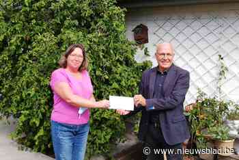 Slaat Bloemekenswijk aan het renoveren? “159 gezinnen vroegen gratis advies”