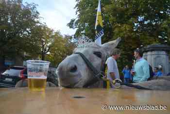 Ezelsstoet heeft nieuwe datum: het wordt juni 2022 en niet september