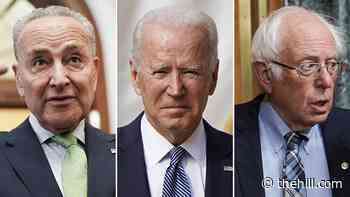 Democrats face daunting hurdles despite promising start