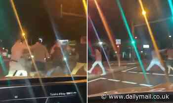 Maroochydore brawl breaks out on a busy street as driver and passenger film fight - Daily Mail