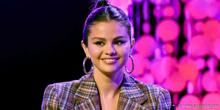 Selena Gomez Recreates an Iconic Meme for TikTok