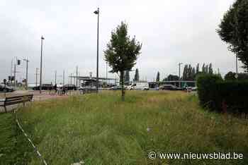 Natuurlijk Boechout werkt aan de biodiversiteit (Boechout) - Het Nieuwsblad