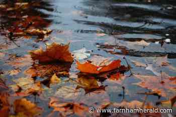 Met Office warning for heavy rain in Surrey and Hampshire - Farnham Herald