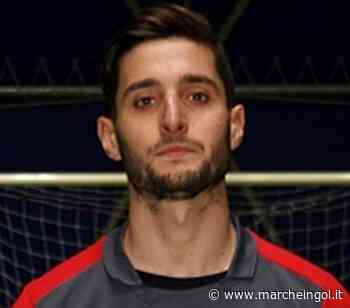MERCATO. Tre movimenti in entrata per l'AFC Fermo - marcheingol.it