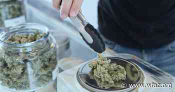 Medical Marijuana Legislation Could Put NC In The Green, Advocates Say - WFAE