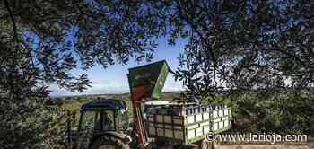 Los agricultores riojanos recelan de la nueva PAC - La Rioja
