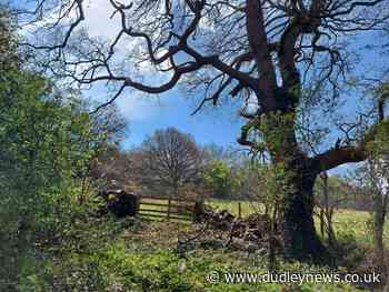 Call for "woefully thought through" Otley development to be withdrawn - Dudley News