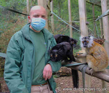 Dudley Zoo to keep some Covid safety measures after restrictions lift on July 19 - Dudley News