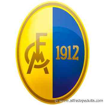 Esclusiva: Modena ai dettagli per Ogunseye dal Cittadella - alfredopedulla.com