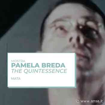 Mostre: 'The Quintessence', Pamela Breda alla Fmav di Modena - ANSA Nuova Europa