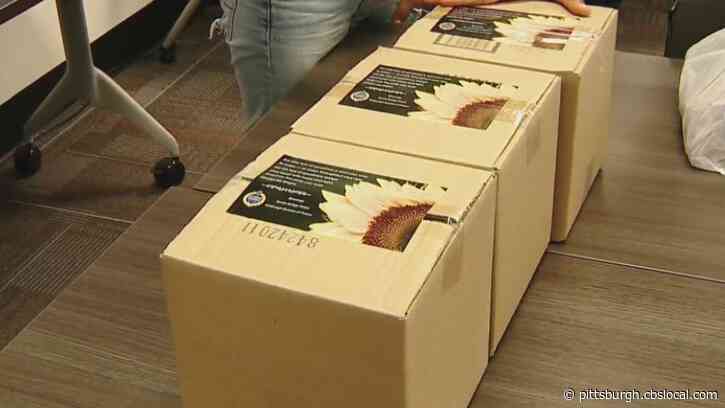 Pittsburgh Non-Profit Distributes Supply Boxes To People Experiencing Homelessness