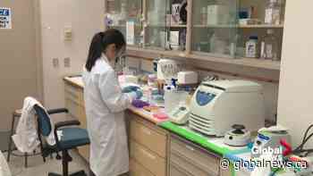 Future of COVID-19 testing in Alberta