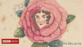 Mystery 19th Century botanist tracked down following appeal