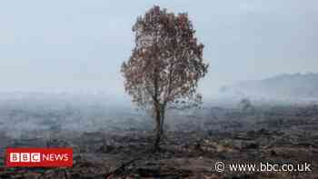 Climate change: 'No more excuses' at COP26 climate summit - poor nations