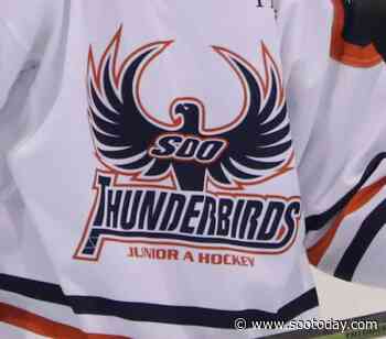 Thunderbirds add experience to coaching staff - SooToday