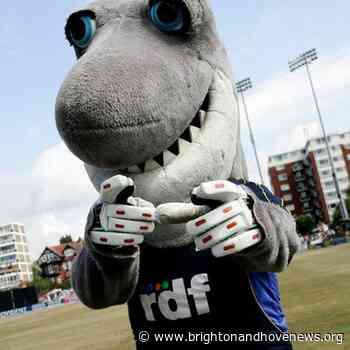 Brighton and Hove News » Hampshire overcome the Sussex Sharks - Brighton and Hove News