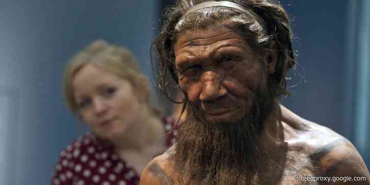 At most, just 7% of the human genome is unique to our species. We share most genes with Neanderthals, Denisovans, and other ancestors.