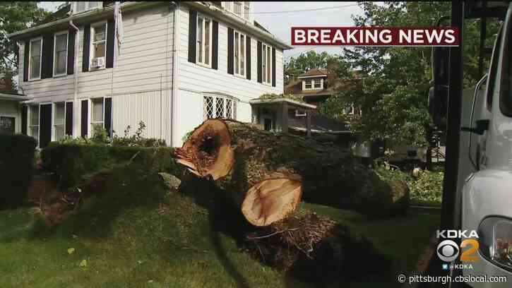 Powerful Storms Topple Trees And Knock Out Power Across Southwestern Pa.